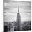 NYC Empire-Nina Papiorek-Mounted Photographic Print