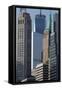 NYC Financial District-Robert Goldwitz-Framed Stretched Canvas