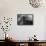NYC, Flatiron-Francesco Santini-Framed Stretched Canvas displayed on a wall