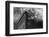 NYC, Flatiron-Francesco Santini-Framed Photographic Print