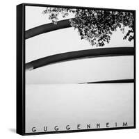 NYC Guggenheim-Nina Papiorek-Framed Stretched Canvas
