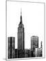 NYC in Pure B&W XVIII-Jeff Pica-Mounted Art Print