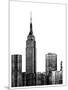 NYC in Pure B&W XVIII-Jeff Pica-Mounted Art Print