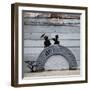 NYC Japanese Bridge-Banksy-Framed Giclee Print