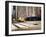 NYC Radio City-Nina Papiorek-Framed Photographic Print