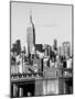 NYC Skyline II-Jeff Pica-Mounted Photographic Print