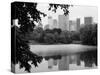 NYC Skyline X-Jeff Pica-Stretched Canvas
