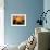 Nyc Sunlight-rolffimages-Framed Art Print displayed on a wall