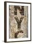 NYC Vertical-Luke Wilson-Framed Art Print