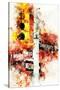 NYC Watercolor Collection - Manhattan Signs-Philippe Hugonnard-Stretched Canvas