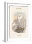Nyctea Nivea - Snow Owl-John Gould-Framed Premium Giclee Print