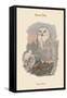 Nyctea Nivea - Snow Owl-John Gould-Framed Stretched Canvas