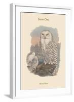 Nyctea Nivea - Snow Owl-John Gould-Framed Art Print