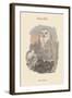 Nyctea Nivea - Snow Owl-John Gould-Framed Art Print