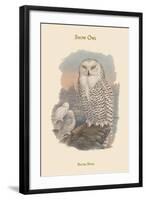 Nyctea Nivea - Snow Owl-John Gould-Framed Art Print