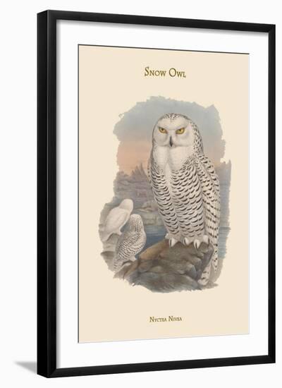 Nyctea Nivea - Snow Owl-John Gould-Framed Art Print