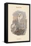 Nyctea Nivea - Snow Owl-John Gould-Framed Stretched Canvas