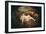 Nymph and Satyr (Jupiter and Antiop)-Jean Antoine Watteau-Framed Giclee Print