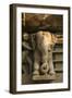 Nymph and the Elephant, Khajuraho, Madhya Pradesh, India-Jagdeep Rajput-Framed Premium Photographic Print