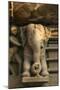 Nymph and the Elephant, Khajuraho, Madhya Pradesh, India-Jagdeep Rajput-Mounted Premium Photographic Print