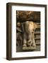 Nymph and the Elephant, Khajuraho, Madhya Pradesh, India-Jagdeep Rajput-Framed Photographic Print