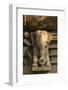 Nymph and the Elephant, Khajuraho, Madhya Pradesh, India-Jagdeep Rajput-Framed Photographic Print