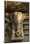 Nymph and the Elephant, Khajuraho, Madhya Pradesh, India-Jagdeep Rajput-Mounted Photographic Print