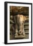 Nymph and the Elephant, Khajuraho, Madhya Pradesh, India-Jagdeep Rajput-Framed Photographic Print