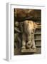 Nymph and the Elephant, Khajuraho, Madhya Pradesh, India-Jagdeep Rajput-Framed Photographic Print