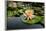 Nymphea in a Pool, Group of Hue Monuments-Nathalie Cuvelier-Framed Photographic Print