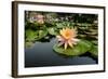 Nymphea in a Pool, Group of Hue Monuments-Nathalie Cuvelier-Framed Photographic Print
