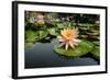 Nymphea in a Pool, Group of Hue Monuments-Nathalie Cuvelier-Framed Photographic Print