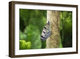 Nymphéa-Viviane Fedieu Daniel-Framed Photographic Print