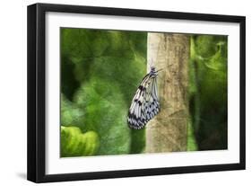 Nymphéa-Viviane Fedieu Daniel-Framed Photographic Print