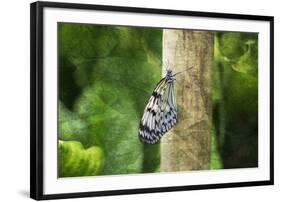 Nymphéa-Viviane Fedieu Daniel-Framed Photographic Print