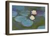 Nympheas, 1897-8-Claude Monet-Framed Premium Giclee Print