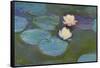 Nympheas, 1897-8-Claude Monet-Framed Stretched Canvas