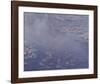 Nympheas, 1906-Claude Monet-Framed Premium Giclee Print