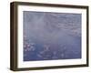 Nympheas, 1906-Claude Monet-Framed Premium Giclee Print