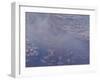 Nympheas, 1906-Claude Monet-Framed Giclee Print