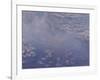 Nympheas, 1906-Claude Monet-Framed Giclee Print