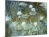 Nymphéas, 1910, (Ausschnitt)-Claude Monet-Mounted Giclee Print