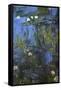 Nympheas, 1914-17-Claude Monet-Framed Stretched Canvas