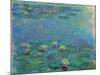 Nympheas, 1914/1917-Claude Monet-Mounted Premium Giclee Print