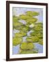 Nympheas, 1916-19 (Detail)-Claude Monet-Framed Premium Giclee Print