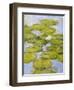 Nympheas, 1916-19 (Detail)-Claude Monet-Framed Premium Giclee Print