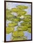 Nympheas, 1916-19 (Detail)-Claude Monet-Framed Giclee Print