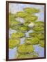 Nympheas, 1916-19 (Detail)-Claude Monet-Framed Giclee Print