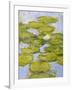 Nympheas, 1916-19 (Detail)-Claude Monet-Framed Giclee Print