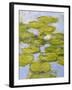 Nympheas, 1916-19 (Detail)-Claude Monet-Framed Giclee Print